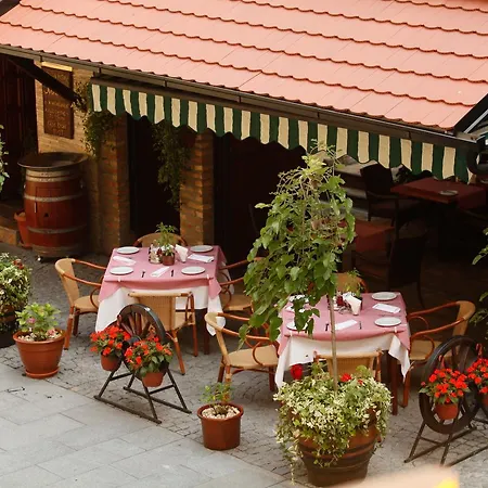 Mikan Belgrad